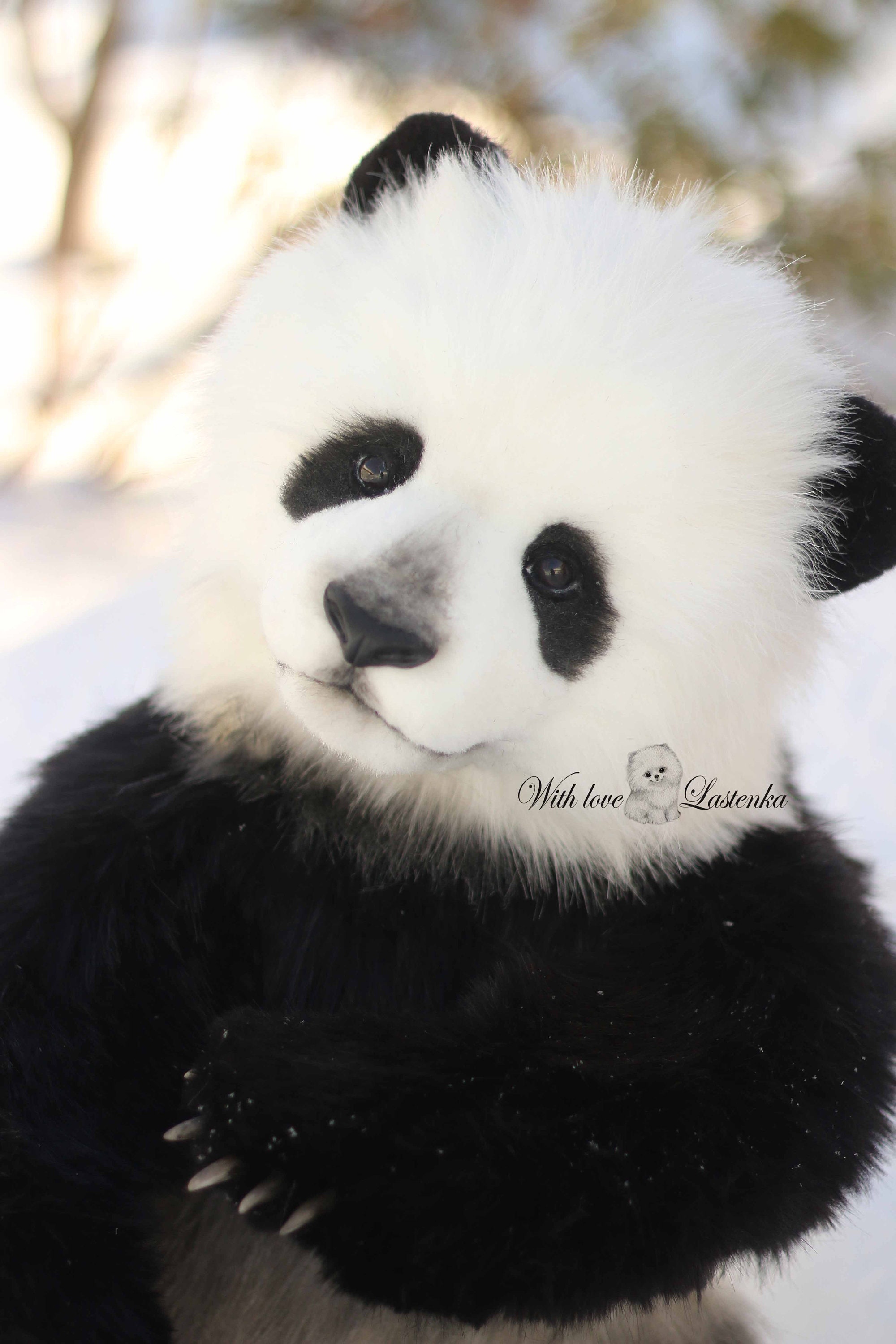 Panda bear YUN realistic animal. handmade plush collectible | Etsy