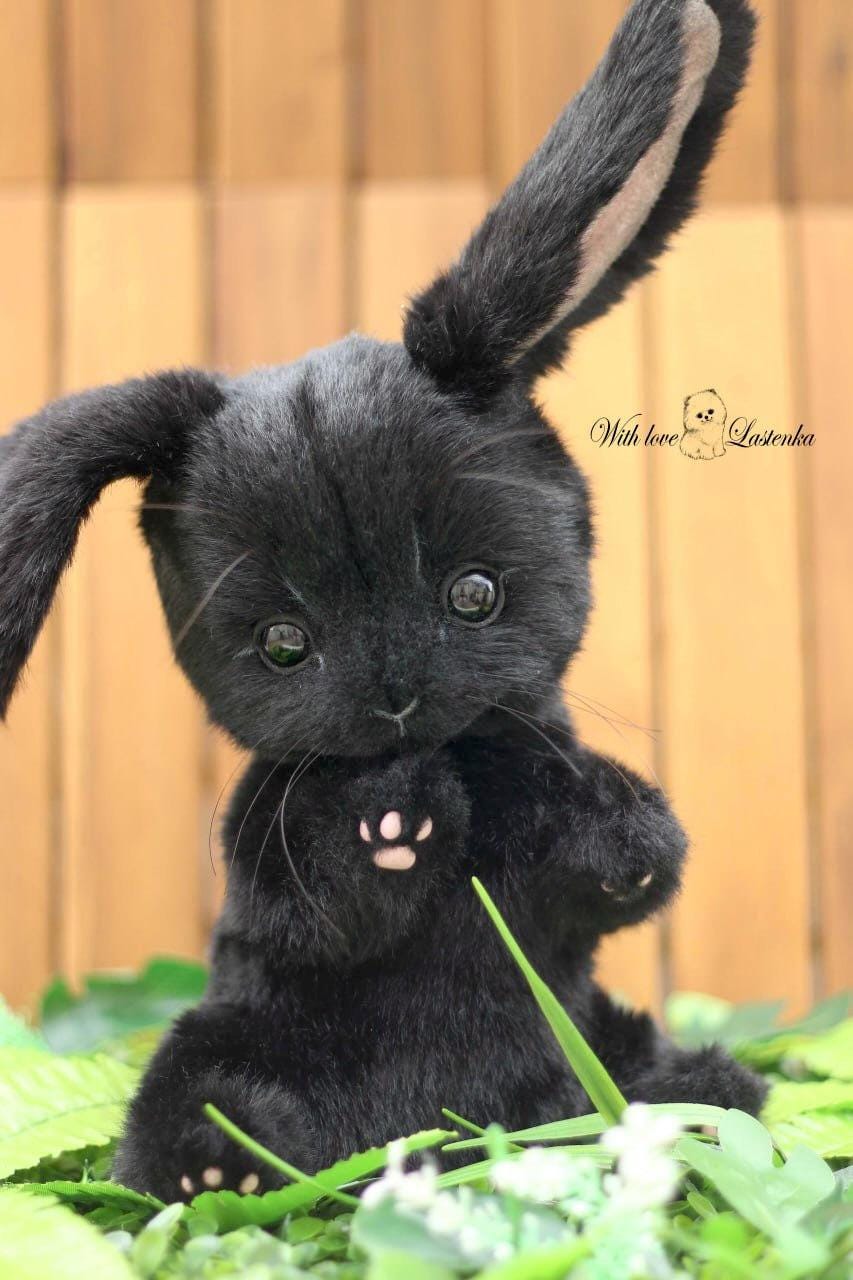 アーティストテディバニーぬいぐるみ：黒のコレクター向けぬいぐるみ