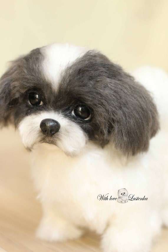 black shih tzu stuffed animal