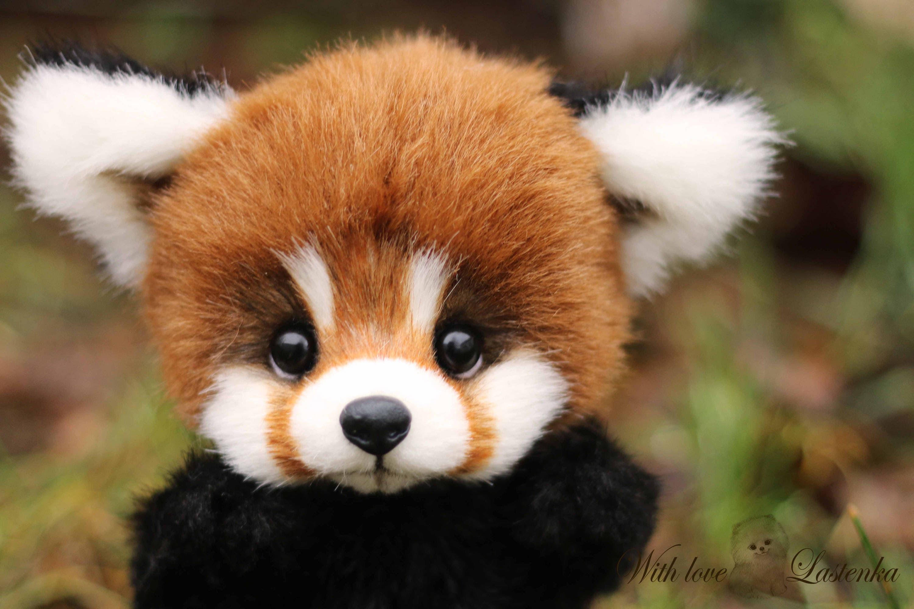 レッサーパンダ テディベア作家 アーティストベア ぬいぐるみ レッサーパンダのテディベア(24cm) その他人形 kmariko 通販