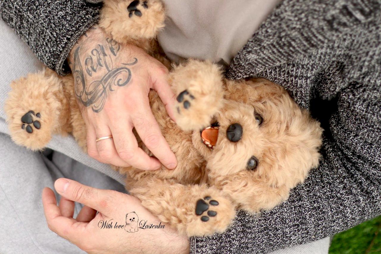 Realistic Maltipoo Plush Toy: Custom Pet Replica, Soft Sculpture