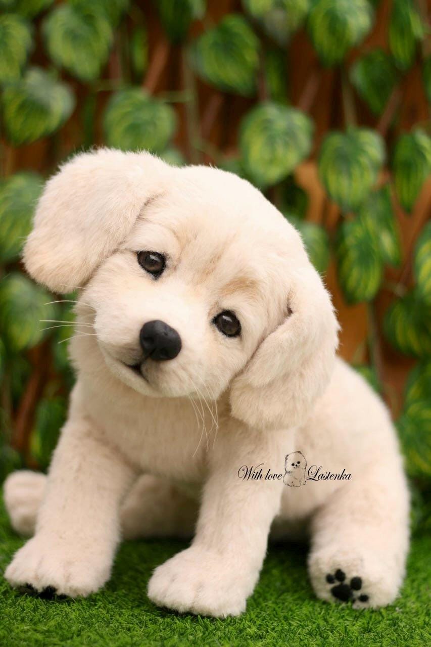 OOAK ゴールデンレトリバーの子犬のぬいぐるみ：リアルなソフト
