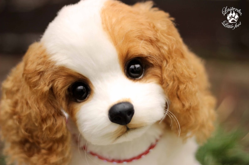 Cucciolo Di Cavalier King Charles Spaniel Cane Ooak Orsacchiotto Cane Realistico Peluche Giocattolo Da Collezione Ritratto Animale Domestico Da Cane
