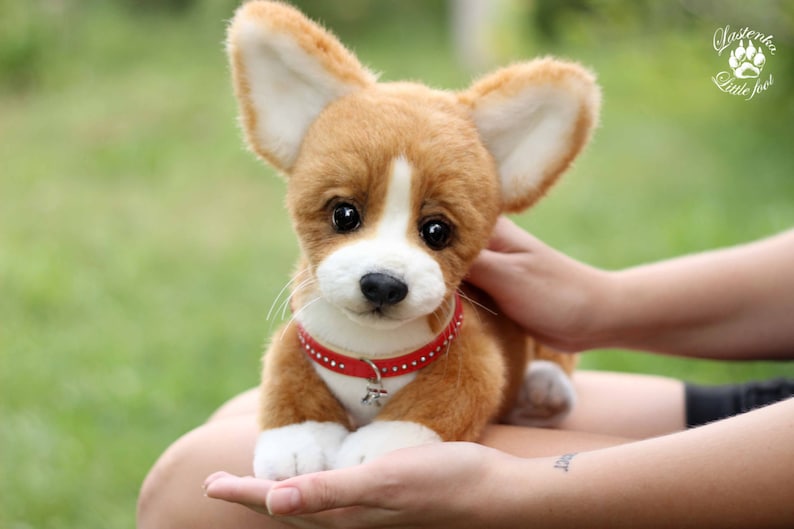 Realistic puppy Welsh Corgi Pembroke Kelly OOAK handmade plush | Etsy