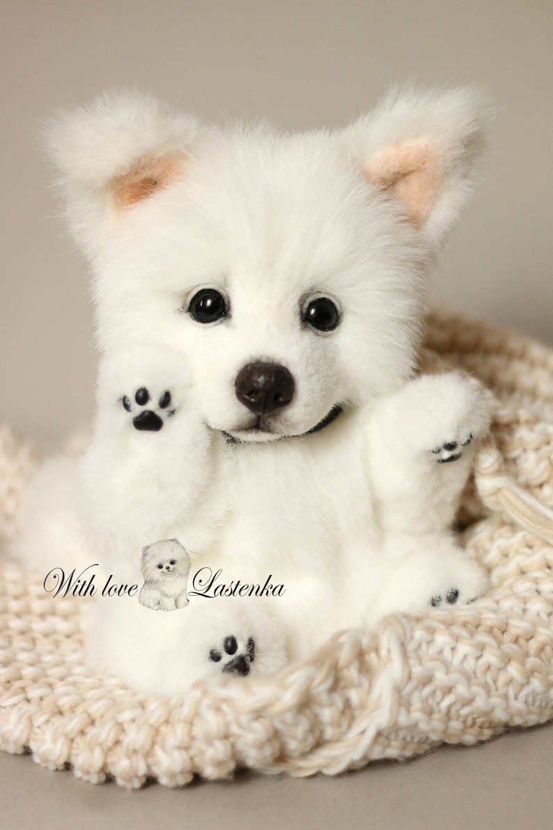 American Eskimo Dog Koda OOAK Artist Collectible Stuffed Puppy - Etsy