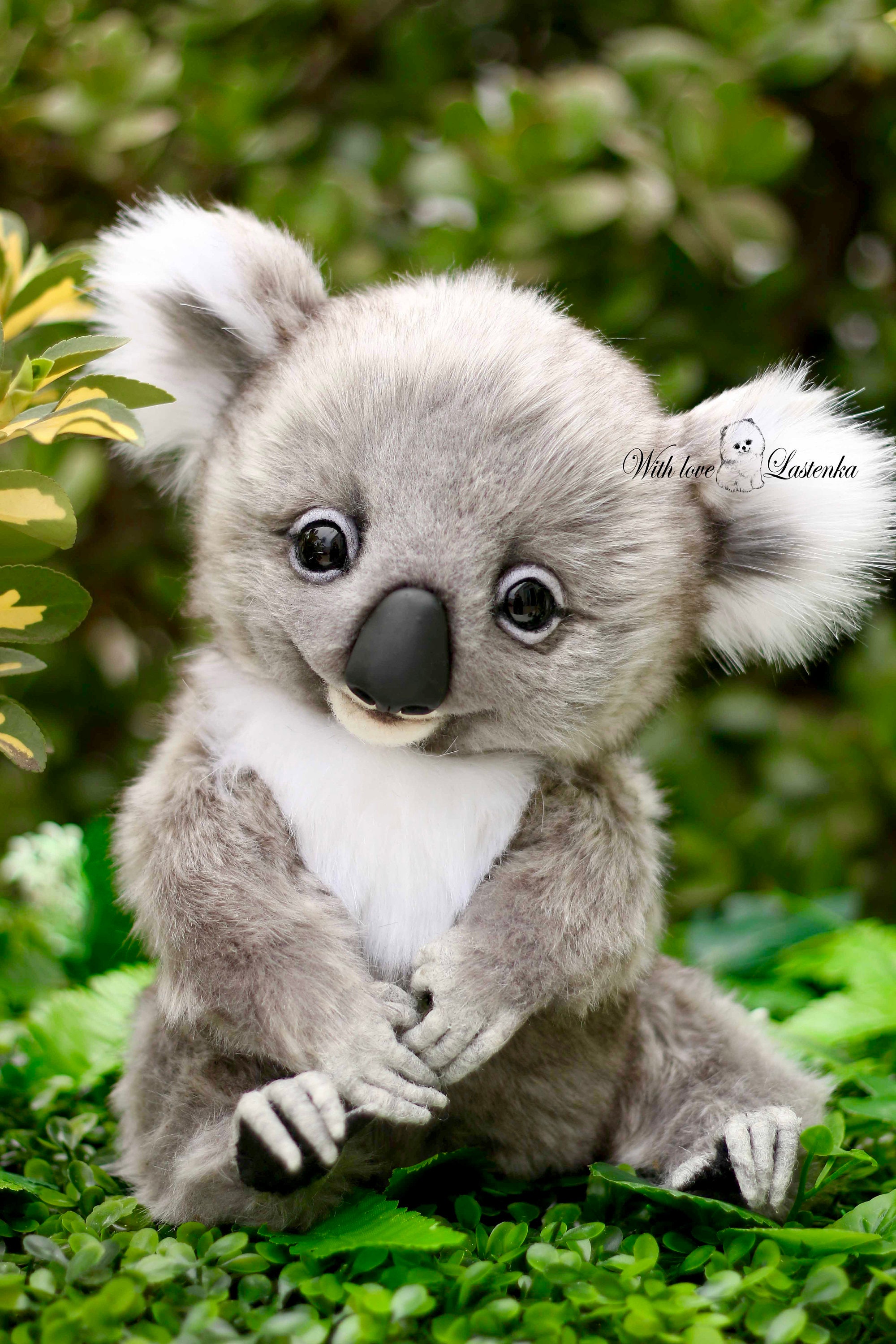 リアルなテディ コアラ エクリプス OOAK コレクター向けアーティスト