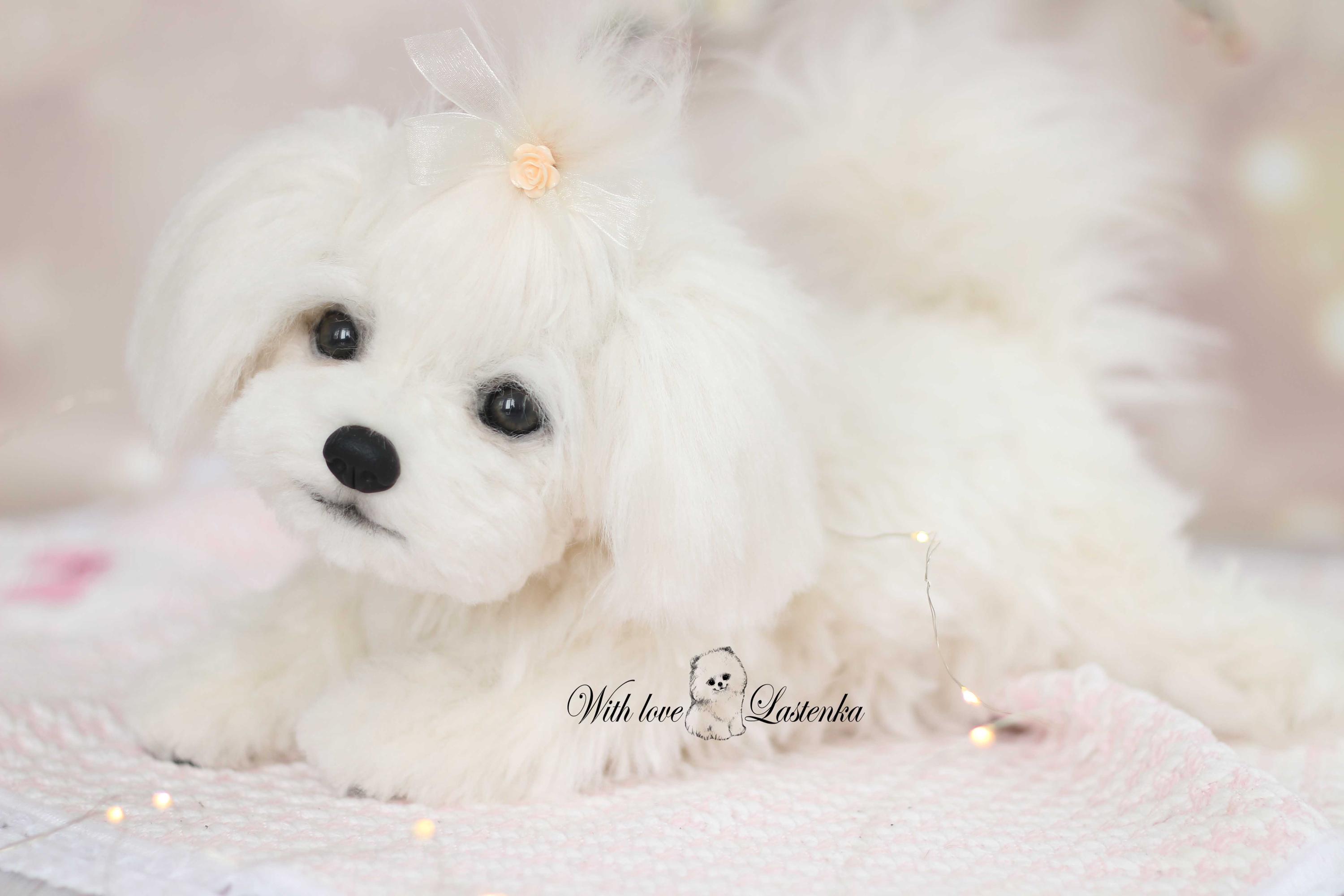 リアルなマルチーズの子犬のぬいぐるみ：ソフトスカルプチャーペット