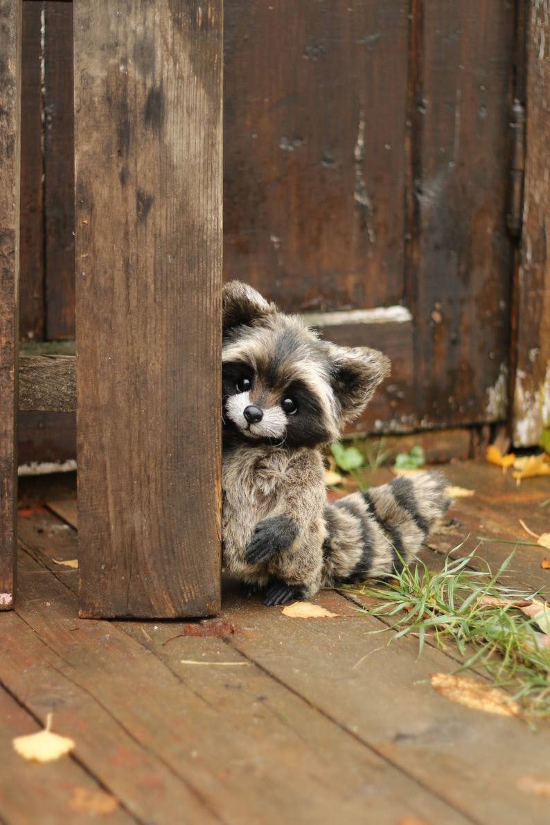 K&ouml;nnte beinhalten: Ein handgefertigtes Pl&uuml;schtier eines Waschb&auml;ren mit einem schwarz-grau gestreiften Schwanz und Fell. Der Waschb&auml;r versteckt sich hinter einem Holzpfosten. Das Spielzeug hat einen niedlichen Ausdruck mit schwarzen Augen und einer wei&szlig;en Schnauze.