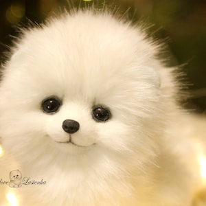 Cute Dog Fluff Ball Puppies Fluffy White Fluff Ball Dogs Fur Ball