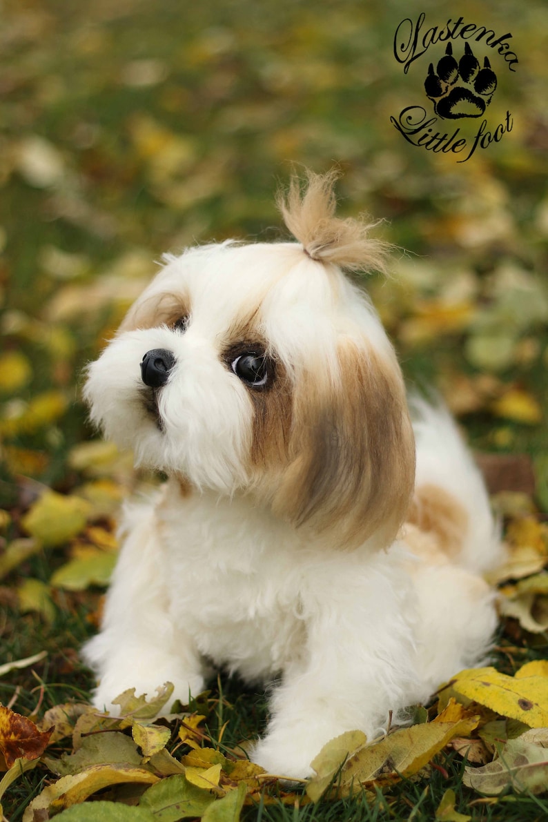 Realistische Welpen Shih Tzu Boss Hund OOAK Sammler Teddy Hund Etsy