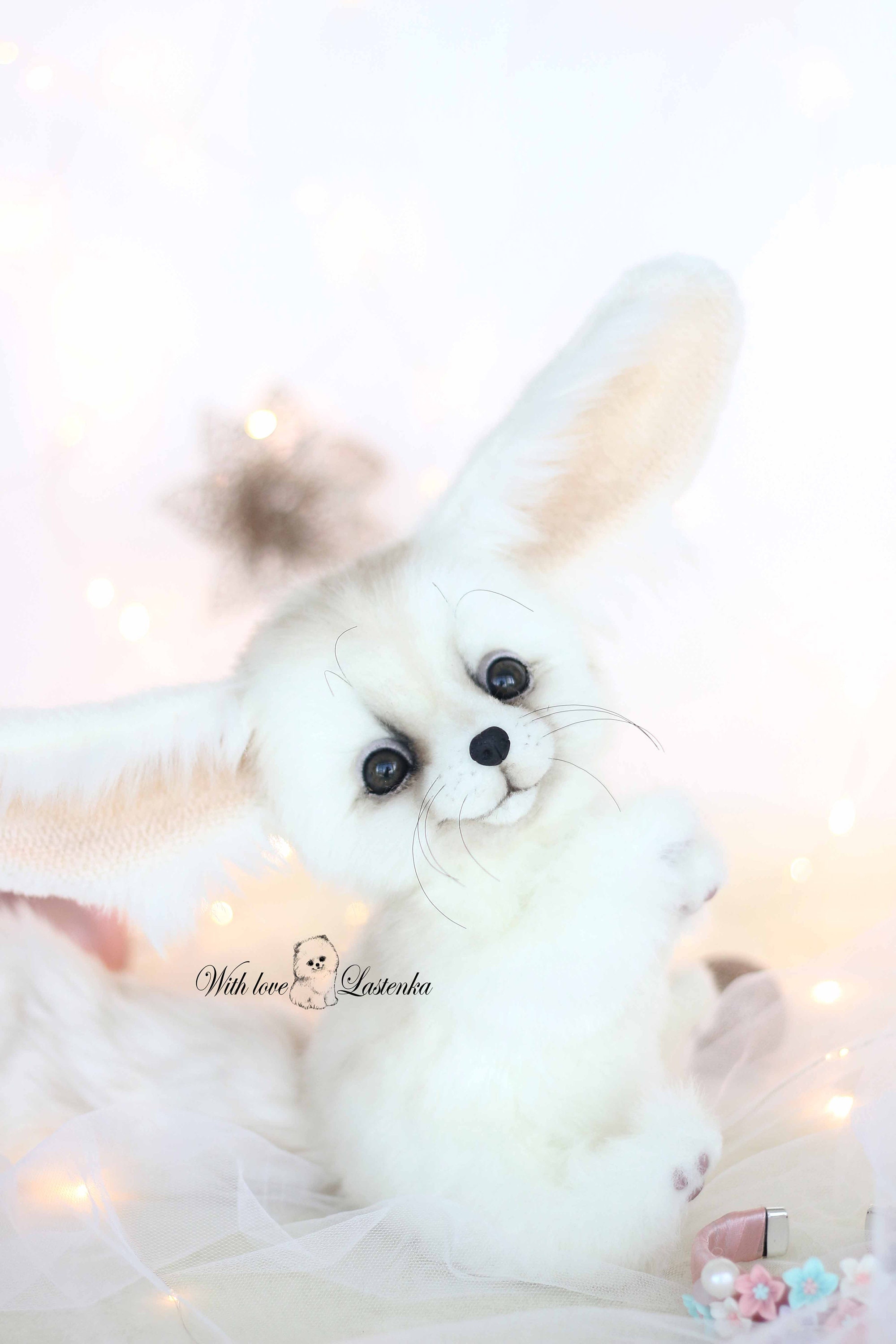 作家 テディベア フェネック ぬいぐるみ 定形外送料無料】フェネックのおチビちゃん テディベア