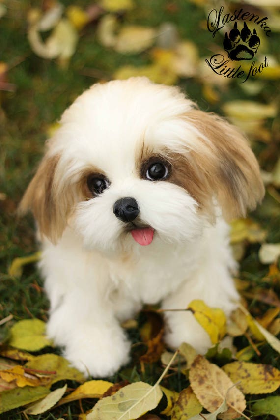 stuffed shih tzu puppy