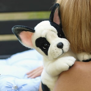 Könnte beinhalten: Ein schwarzes und weißes Französisch Bulldoggen Plüschtier wird von einer Person gehalten. Das Plüschtier hat ein weißes Gesicht mit schwarzen Markierungen um die Augen und die Nase. Das Plüschtier sitzt auf der Schulter der Person.