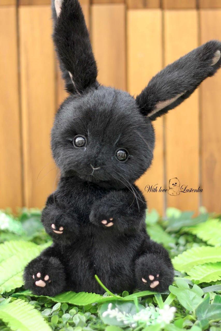 アーティストテディバニーぬいぐるみ：黒のコレクター向けぬいぐるみ