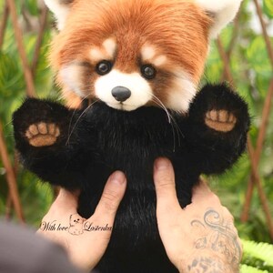 Puede incluir: Un peluche de panda rojo con cuerpo negro y cabeza marr&oacute;n rojizo. El peluche tiene cara, orejas y nariz blancas. Las patas son negras con almohadillas color canela. El texto "With love Lazenka" est&aacute; en la mano.