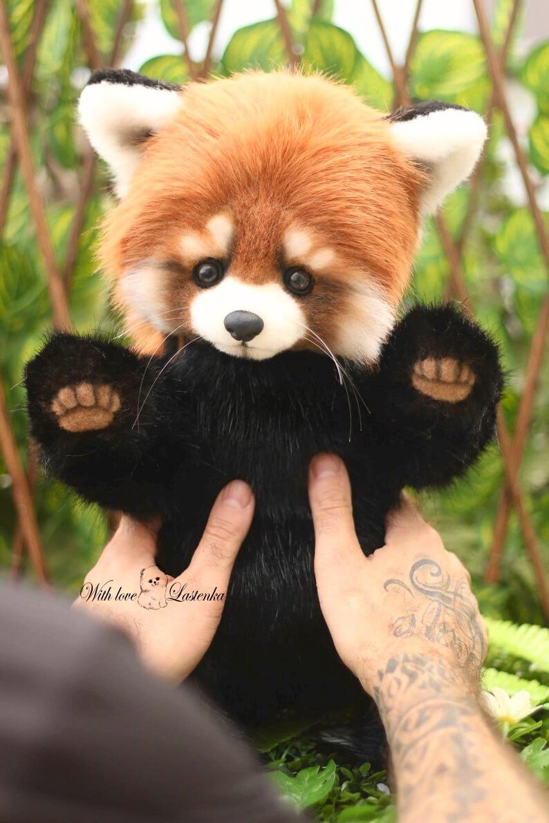 Puede incluir: Un peluche de panda rojo con cuerpo negro y cabeza marr&oacute;n rojizo. El peluche tiene cara, orejas y nariz blancas. Las patas son negras con almohadillas color canela. El texto "With love Lazenka" est&aacute; en la mano.