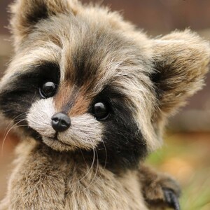 K&ouml;nnte beinhalten: Ein Pl&uuml;sch-Waschb&auml;r mit braunem und schwarzem Fellmuster, einer schwarzen Nase und gro&szlig;en, dunklen Augen. Der Waschb&auml;r hat lange Schnurrhaare und einen freundlichen Ausdruck. Das Bild enth&auml;lt den Text "Lastenka Little foot".
