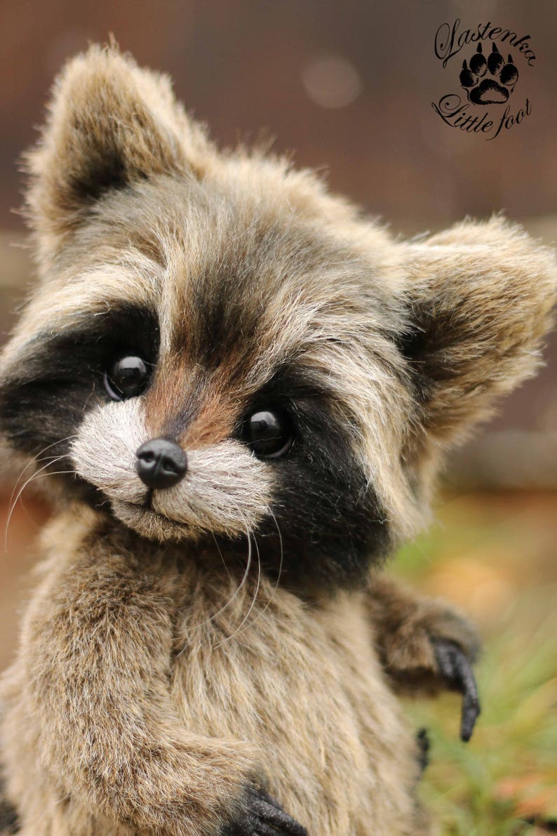 K&ouml;nnte beinhalten: Ein Pl&uuml;sch-Waschb&auml;r mit braunem und schwarzem Fellmuster, einer schwarzen Nase und gro&szlig;en, dunklen Augen. Der Waschb&auml;r hat lange Schnurrhaare und einen freundlichen Ausdruck. Das Bild enth&auml;lt den Text "Lastenka Little foot".