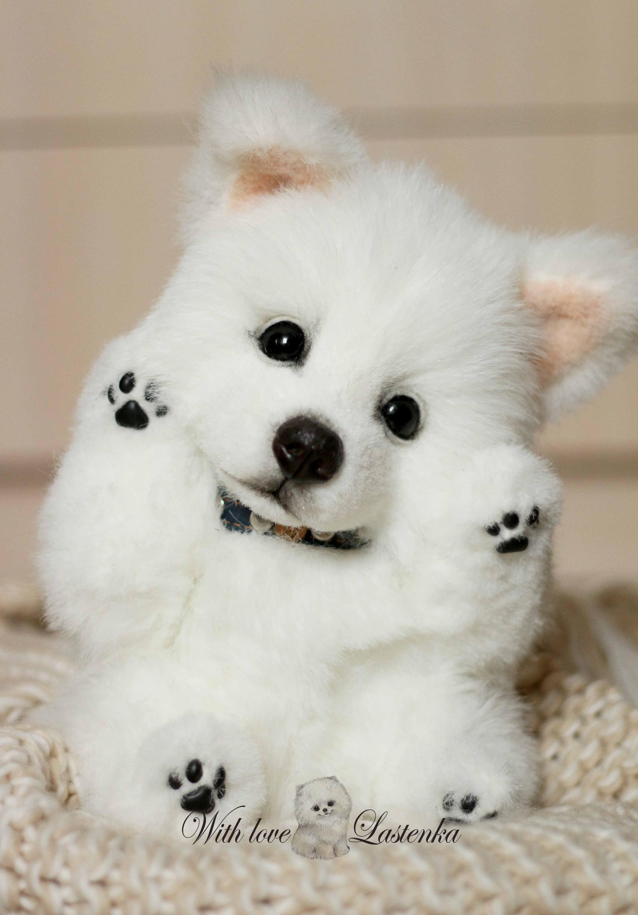 American Eskimo Dog Koda OOAK Artist Collectible Stuffed Puppy Teddy Dog Handmade Plush Portrait Pet Animal by Photo made to Order Etsy