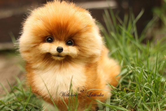 realistic stuffed pomeranian
