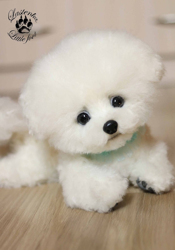 stuffed bichon