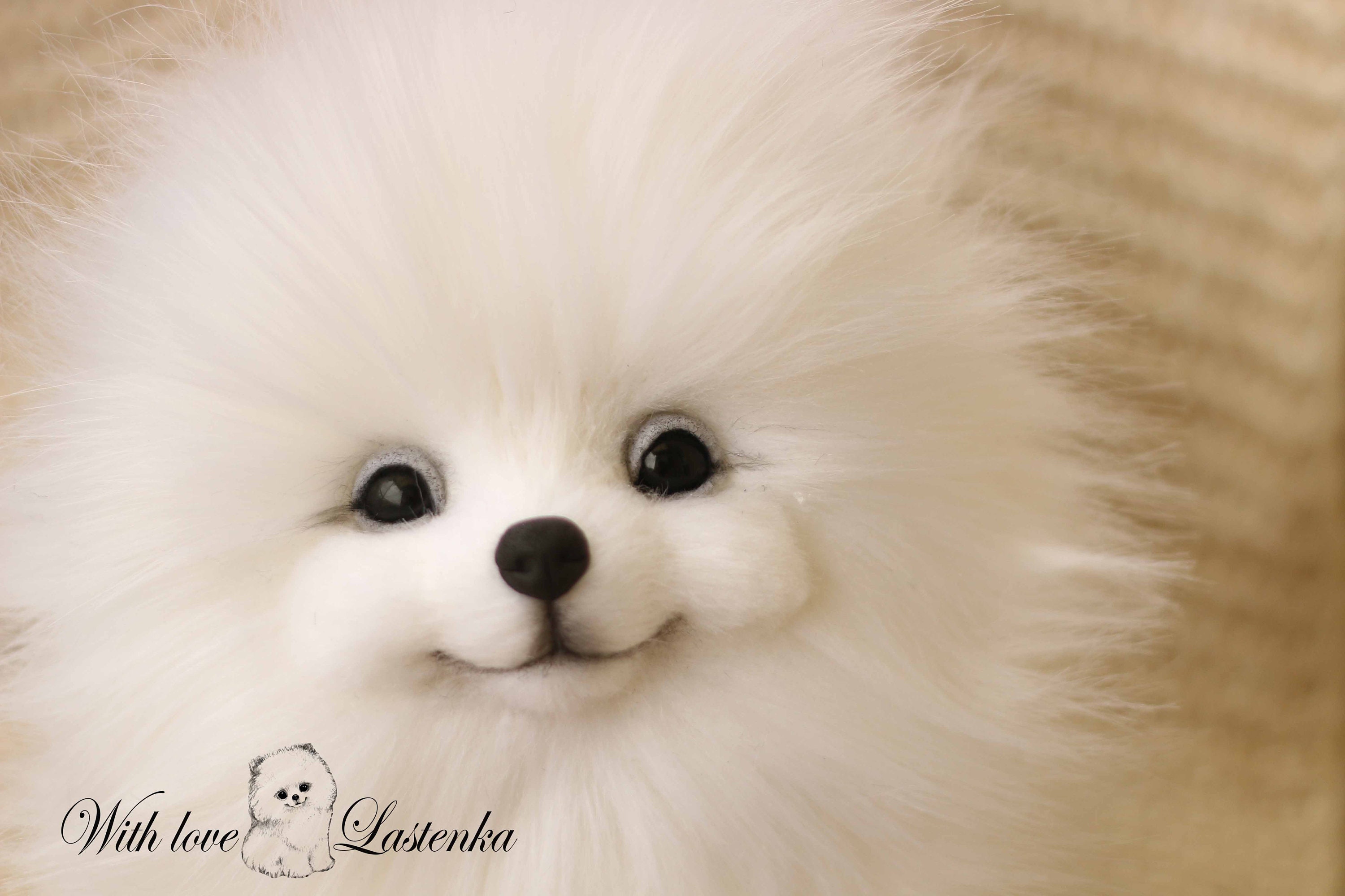 Cachorro de Spitz de peluche hecho a mano: Pomerania de peluche  coleccionable - Etsy México, image size:3000x2000