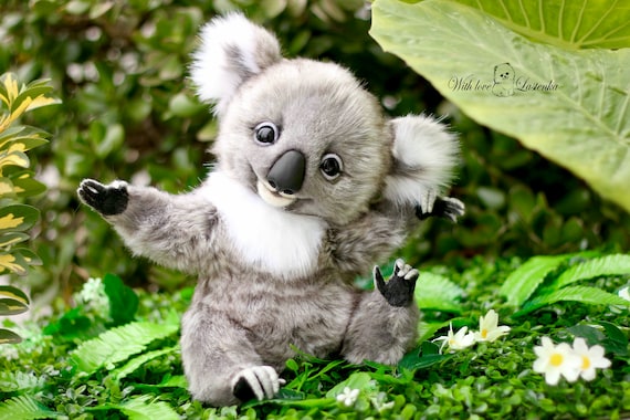 リアルなテディ コアラ エクリプス OOAK コレクター向けアーティスト