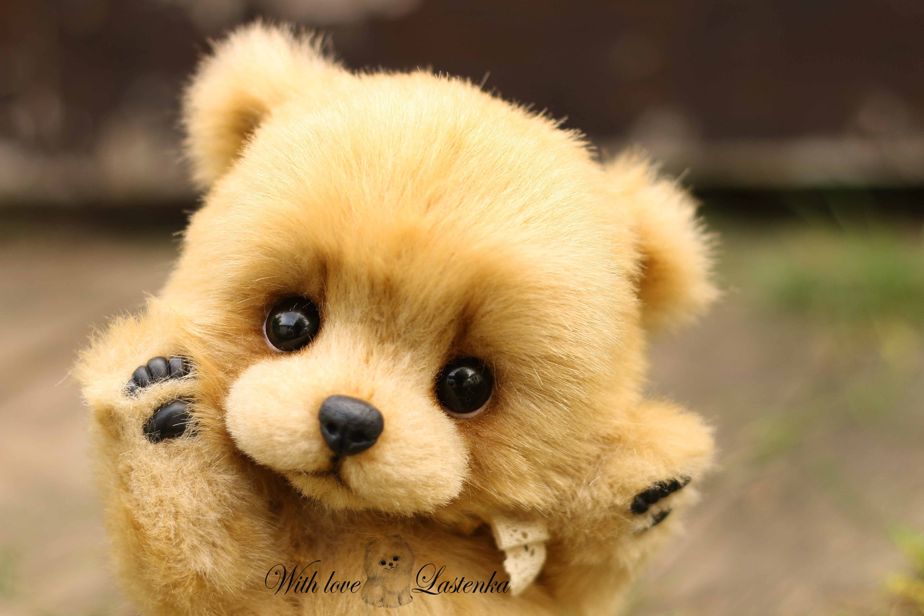 Really Cute Baby Bears