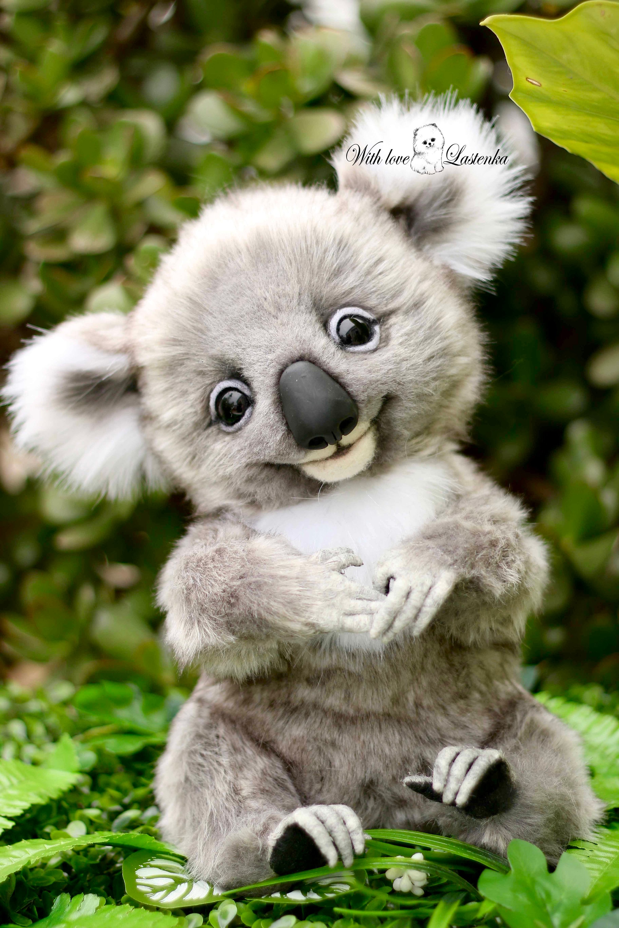 リアルなテディ コアラ エクリプス OOAK コレクター向けアーティスト