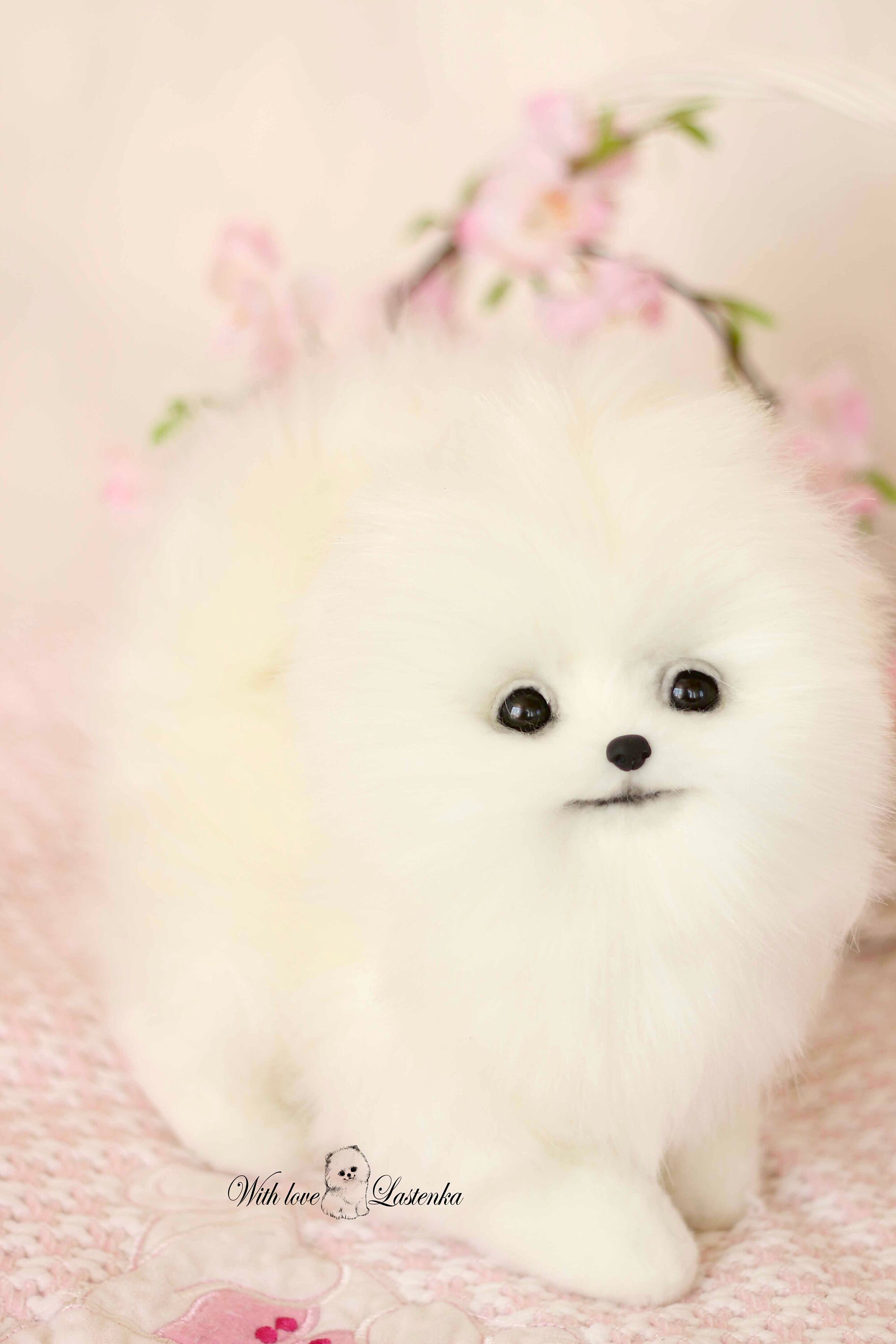 OOAK ポメラニアンぬいぐるみ：コレクター向けスピッツ子犬の