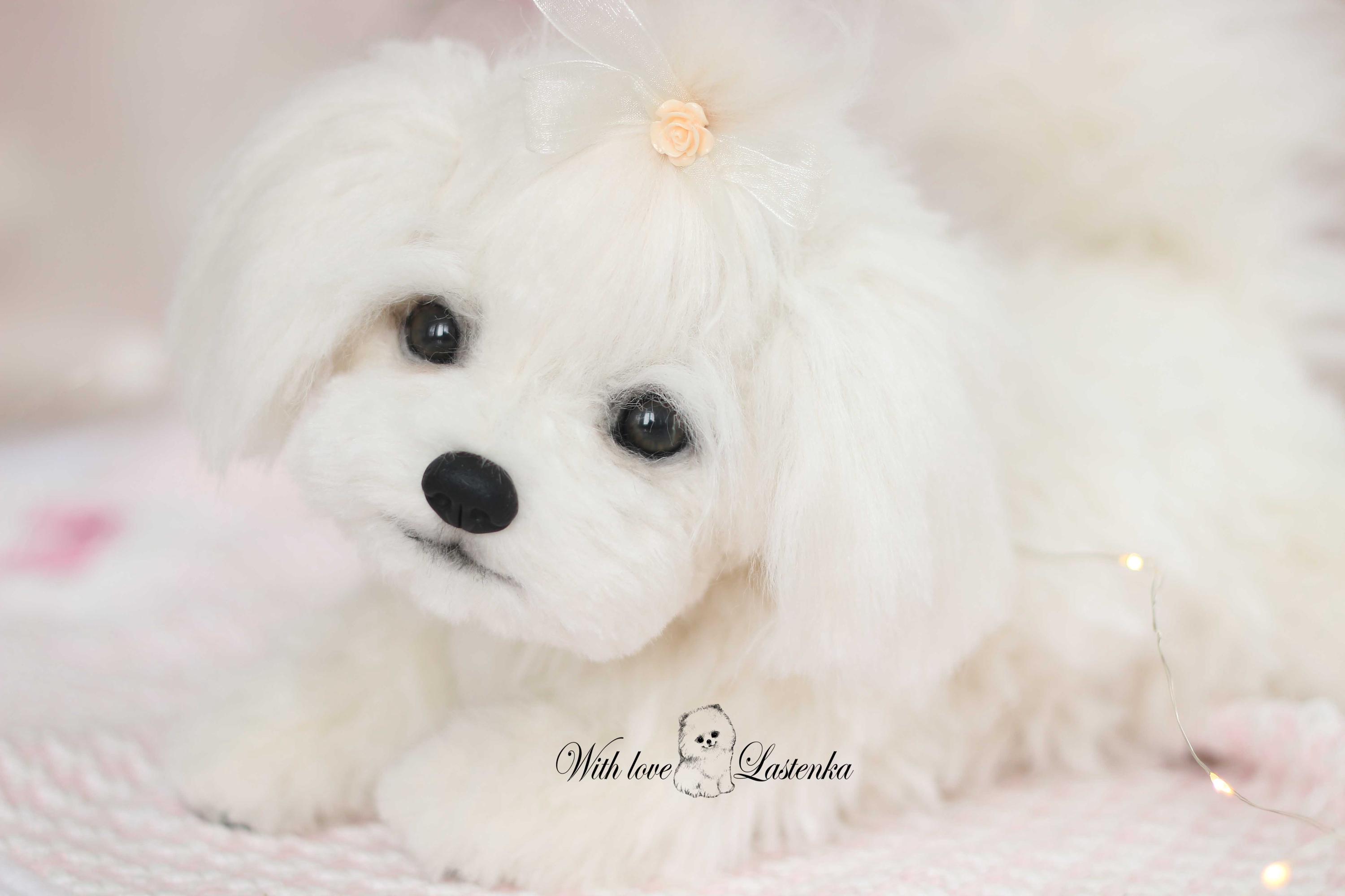 リアルなマルチーズの子犬のぬいぐるみ：ソフトスカルプチャーペット