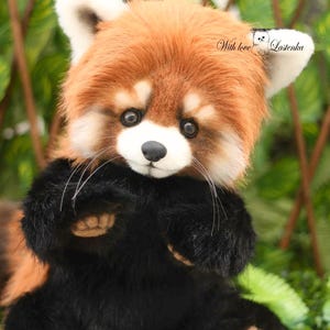 Puede incluir: Un peluche de panda rojo con una cabeza naranja y blanca esponjosa, patas negras y un cuerpo negro. El animal de peluche tiene una expresi&oacute;n dulce y est&aacute; sentado entre la vegetaci&oacute;n. El texto "With love Lostenka" est&aacute; en la oreja.