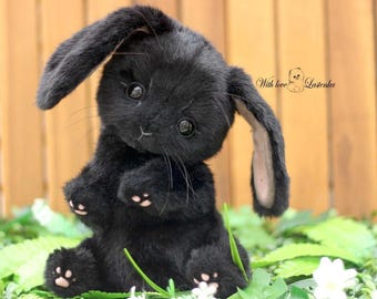Künstler Teddy Bunny Plüschtier: Schwarzes Sammlerstück Kaninchen