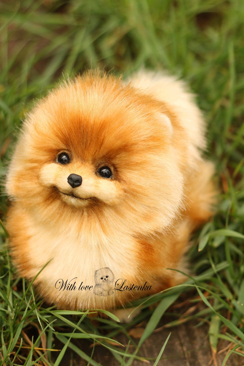 Pomeranian spitz puppy Cola realistic Stuffed dog collectible | Etsy