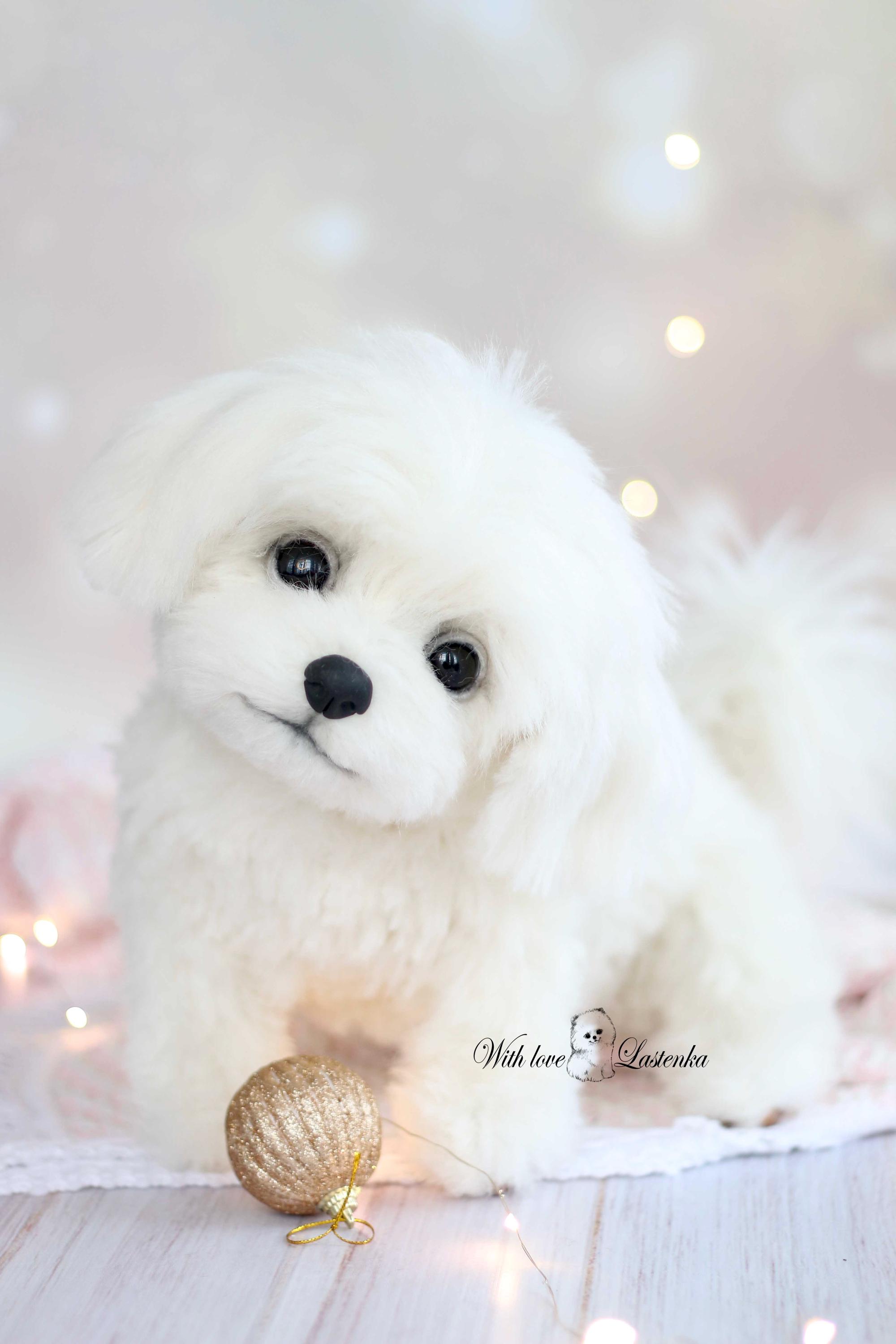 リアルなマルチーズの子犬のぬいぐるみ：ソフトスカルプチャー、ペット