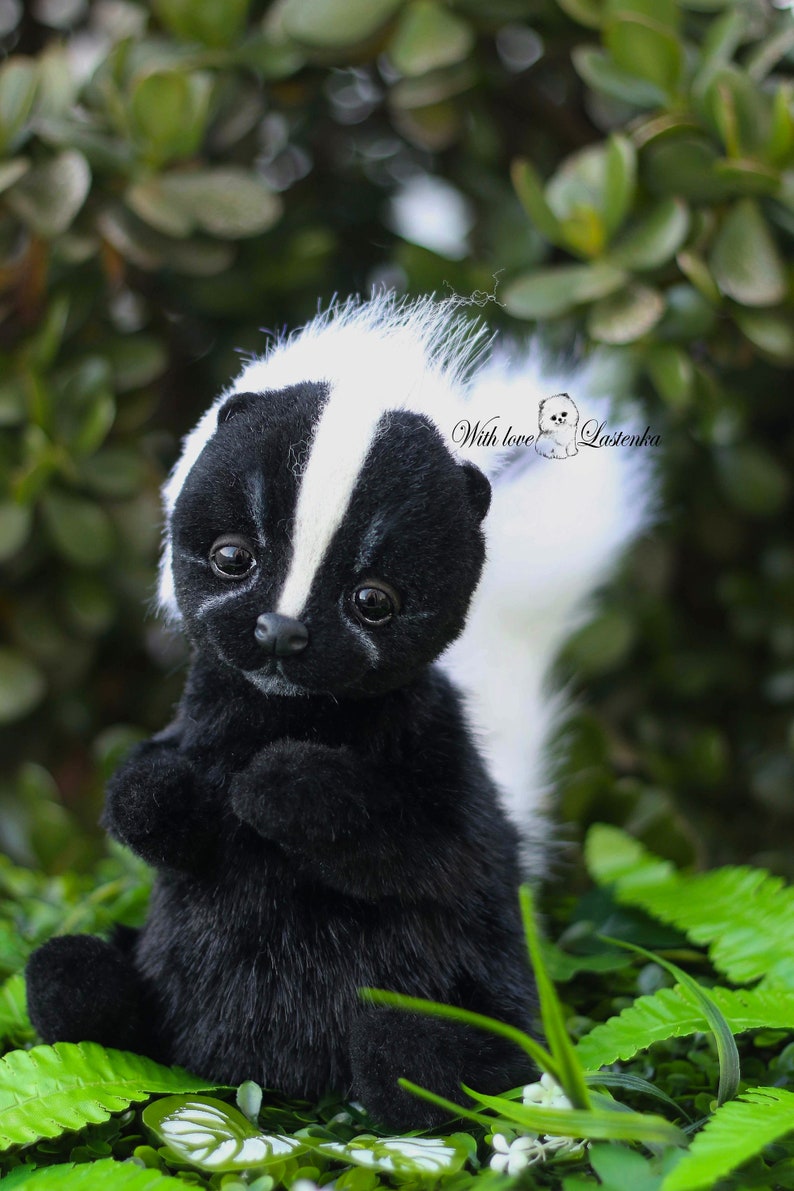 May include: A black and white stuffed skunk with a white stripe down its back. The skunk is sitting on a bed of green leaves. The text "With love, Lastenka" is visible in the background.