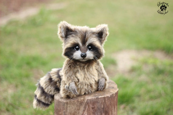 realistic stuffed raccoon