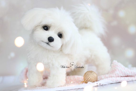 リアルなマルチーズの子犬のぬいぐるみ：ソフトスカルプチャー、ペット