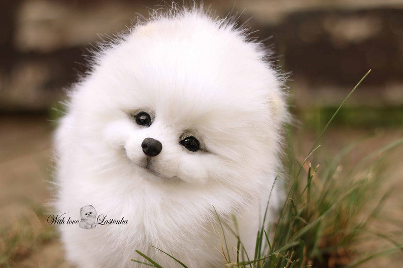 made to order Artist Stuffed dog collectible toy OOAK Spitz. Puppy Pomeranian Eva