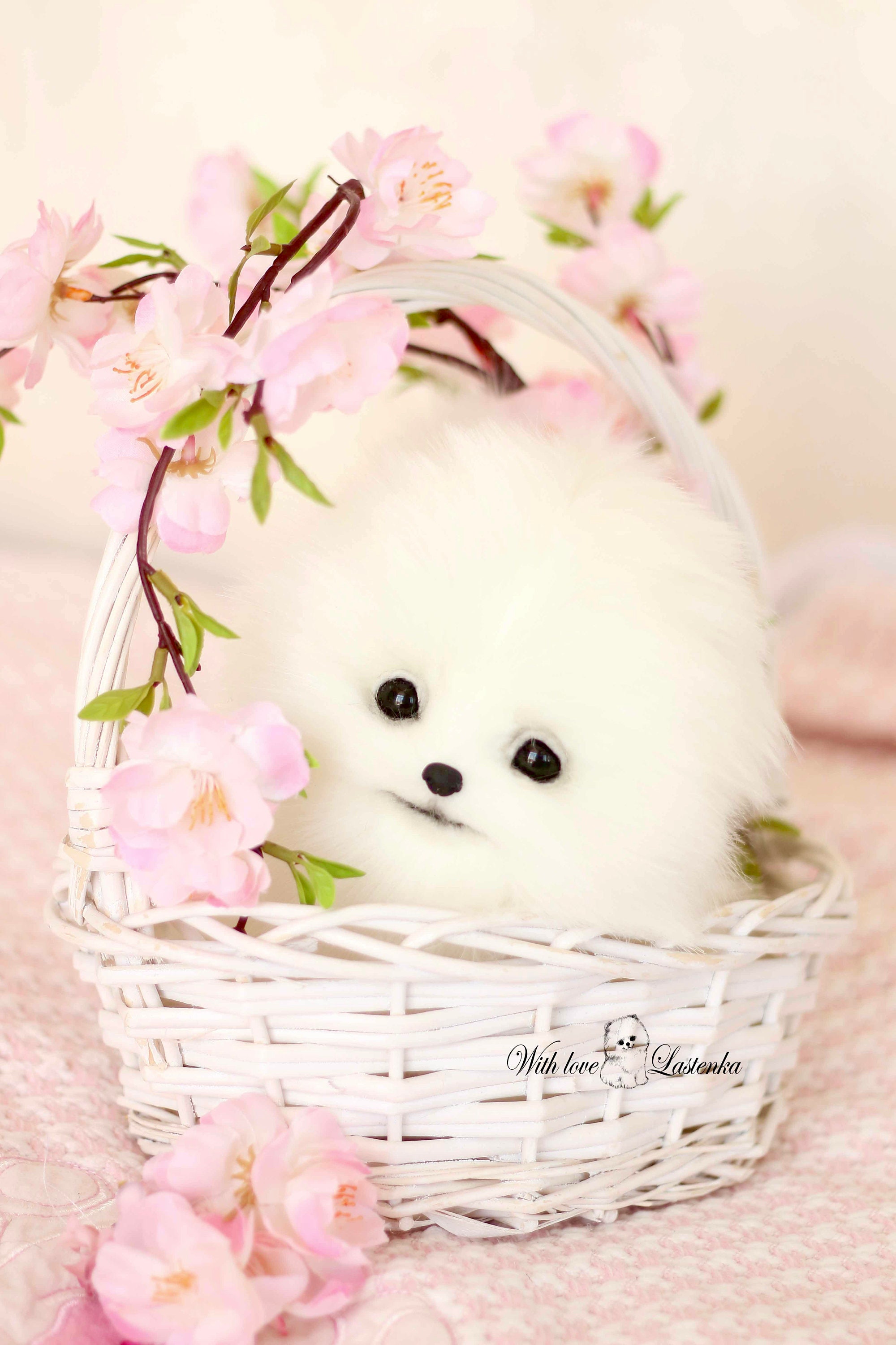 OOAK ポメラニアンぬいぐるみ：コレクター向けスピッツ子犬の