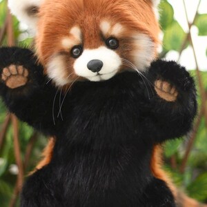 Puede incluir: Un peluche de panda rojo con un pelaje tupido de dos tonos, negro y marr&oacute;n rojizo. El animal de peluche hecho a mano tiene una expresi&oacute;n dulce, con una nariz negra y ojos peque&ntilde;os y redondos. El texto "With love Lastenka" est&aacute; en la oreja.