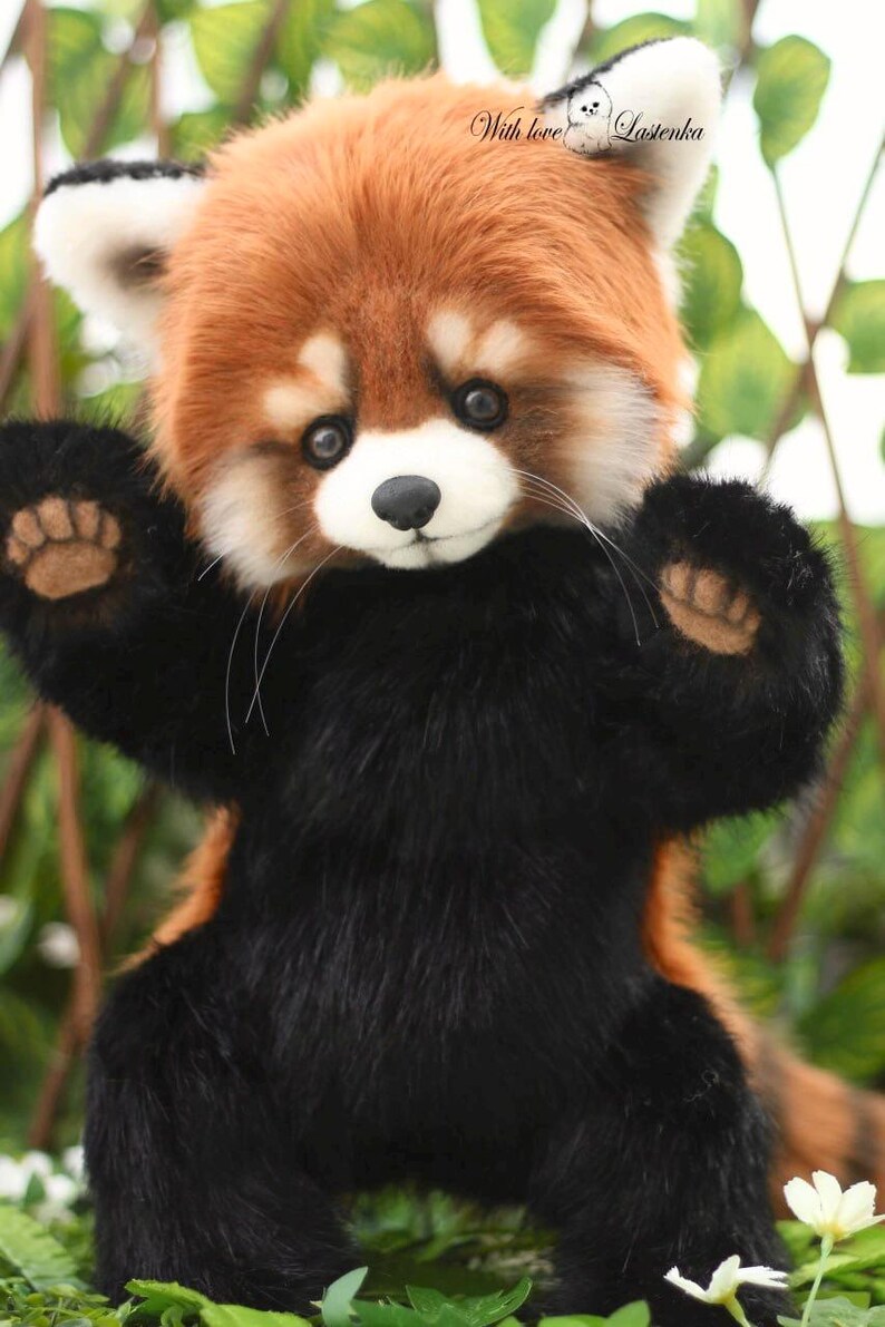 Puede incluir: Un peluche de panda rojo con un pelaje tupido de dos tonos, negro y marr&oacute;n rojizo. El animal de peluche hecho a mano tiene una expresi&oacute;n dulce, con una nariz negra y ojos peque&ntilde;os y redondos. El texto "With love Lastenka" est&aacute; en la oreja.