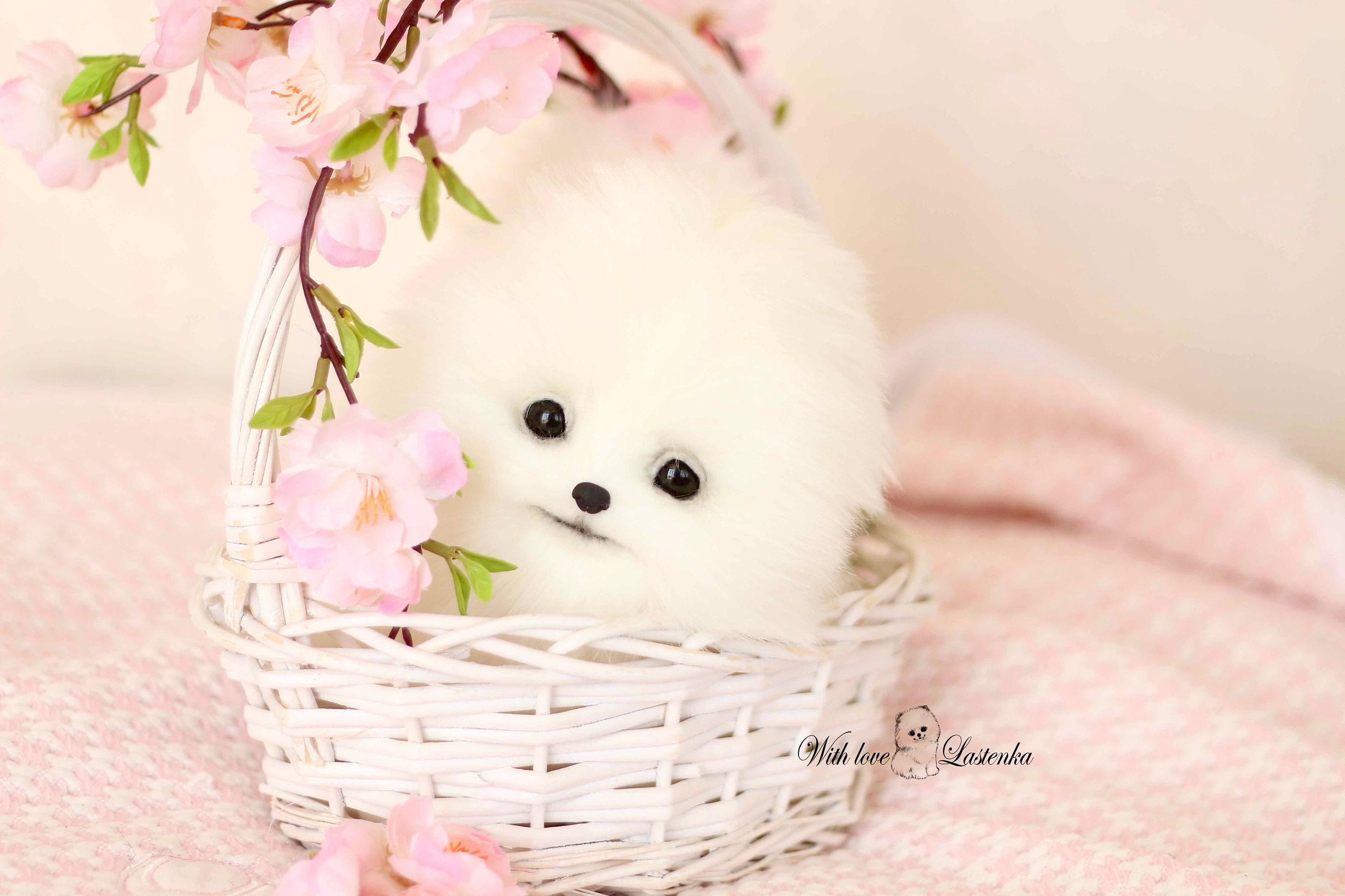 OOAK ポメラニアンぬいぐるみ：コレクター向けスピッツ子犬の