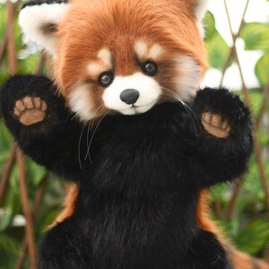 Puede incluir: Un peluche de panda rojo con cuerpo negro y cabeza y orejas de color marr&oacute;n rojizo. El peluche tiene una nariz negra, bigotes blancos y ojos grandes y oscuros. El texto "With love Lastenka" est&aacute; en la oreja.