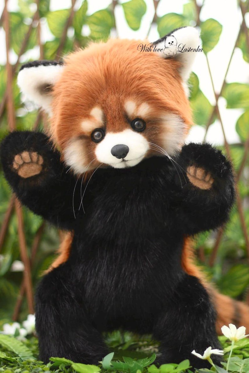 Puede incluir: Un peluche de panda rojo con cuerpo negro y cabeza y orejas de color marr&oacute;n rojizo. El peluche tiene una nariz negra, bigotes blancos y ojos grandes y oscuros. El texto "With love Lastenka" est&aacute; en la oreja.