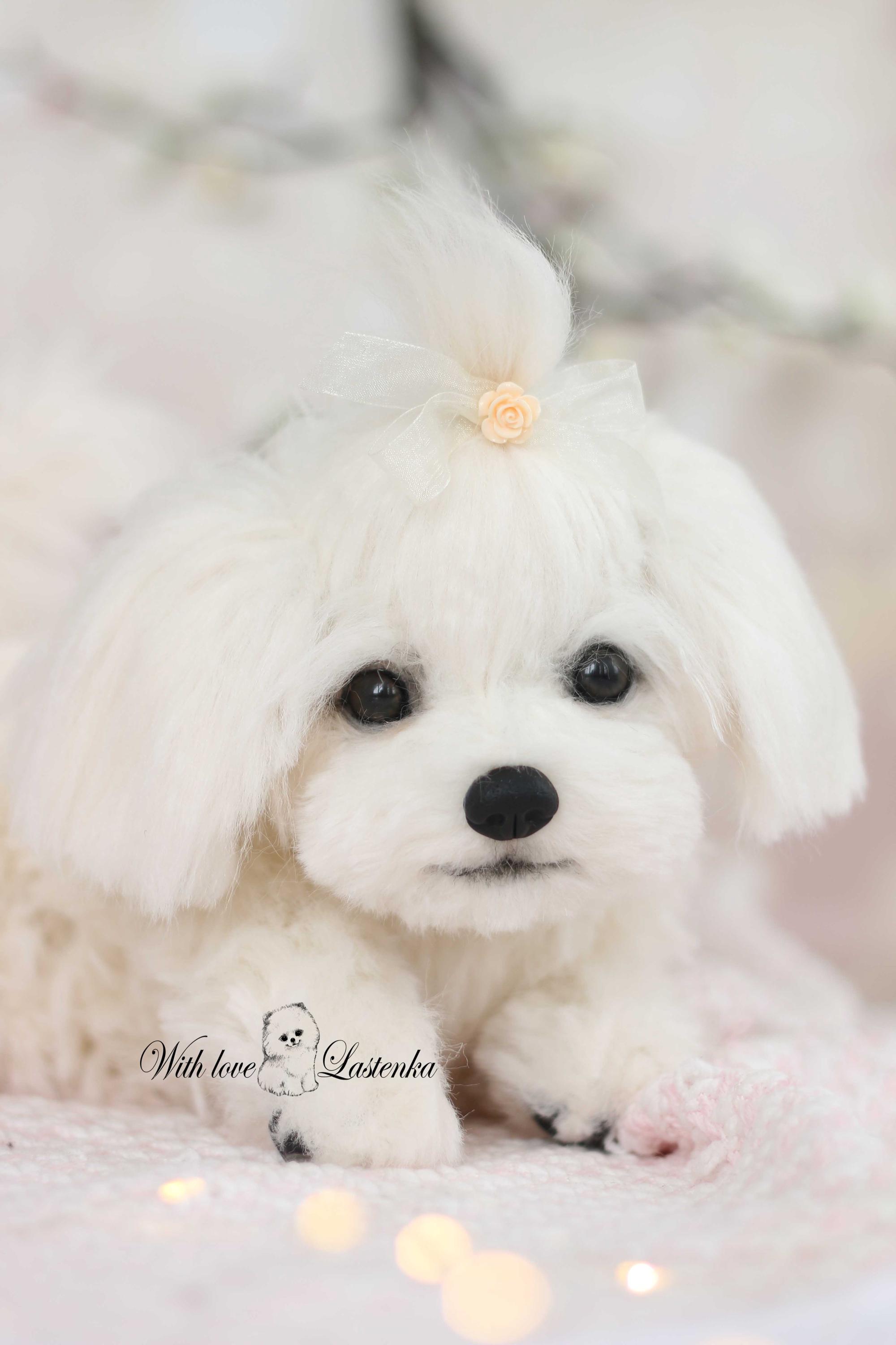 リアルなマルチーズの子犬のぬいぐるみ：ソフトスカルプチャーペット