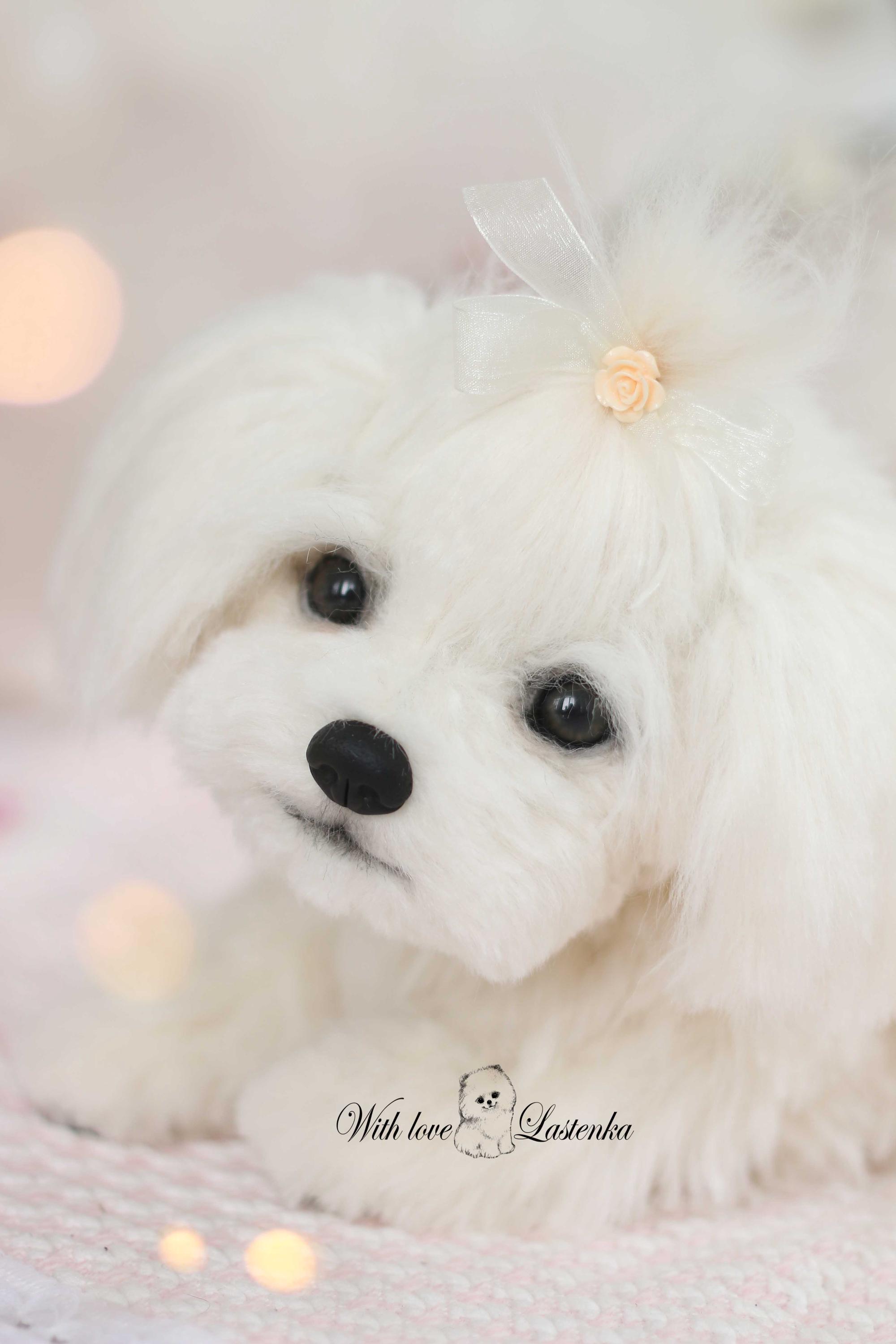 リアルなマルチーズの子犬のぬいぐるみ：ソフトスカルプチャーペット