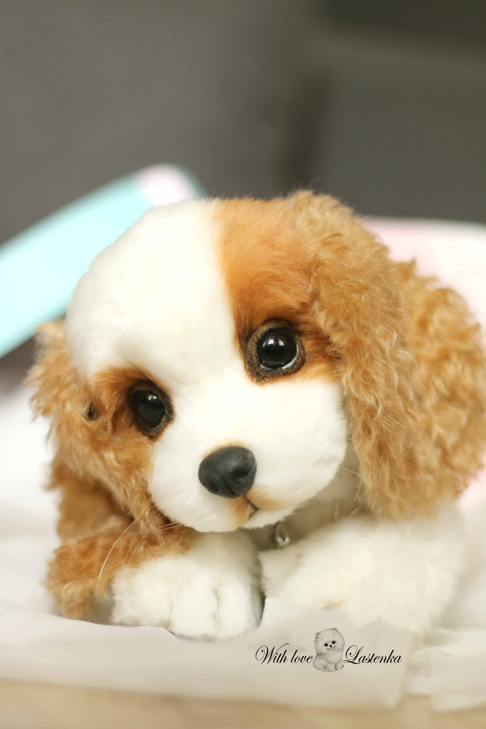 King charles spaniel teddy hotsell