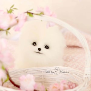 Pode incluir: Um filhote de Pomeranian branco e felpudo senta-se numa cesta de vime branca com flores cor-de-rosa. O filhote tem olhos pretos e um nariz preto. O texto "With love, Lastenka" está impresso na cesta.