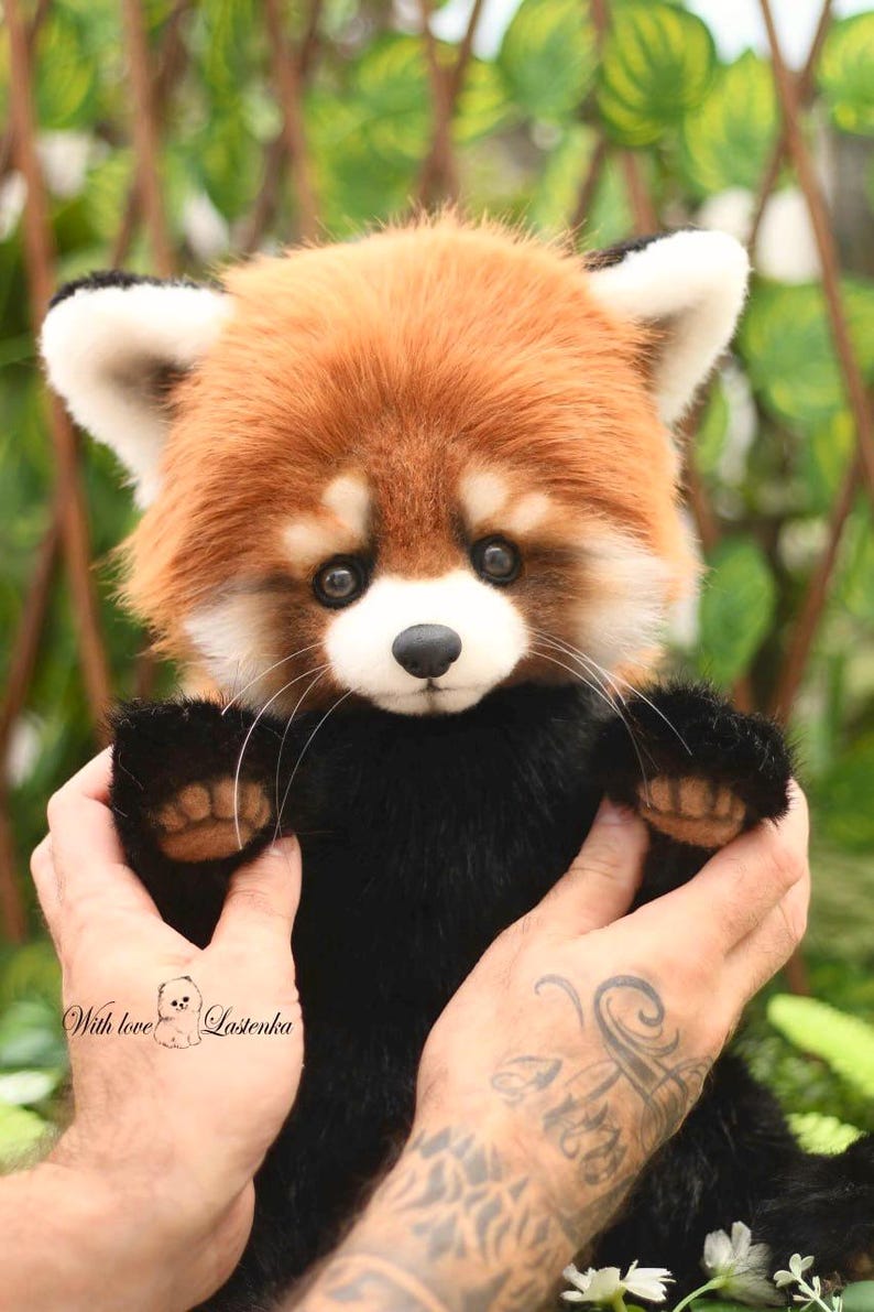 Puede incluir: Un peluche de panda rojo con una cabeza marr&oacute;n rojiza y esponjosa, orejas blancas y un hocico negro. El animal de peluche tiene un cuerpo negro y est&aacute; sostenido por dos manos. El texto "With love Lasenka" es visible.